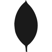 MongoDB