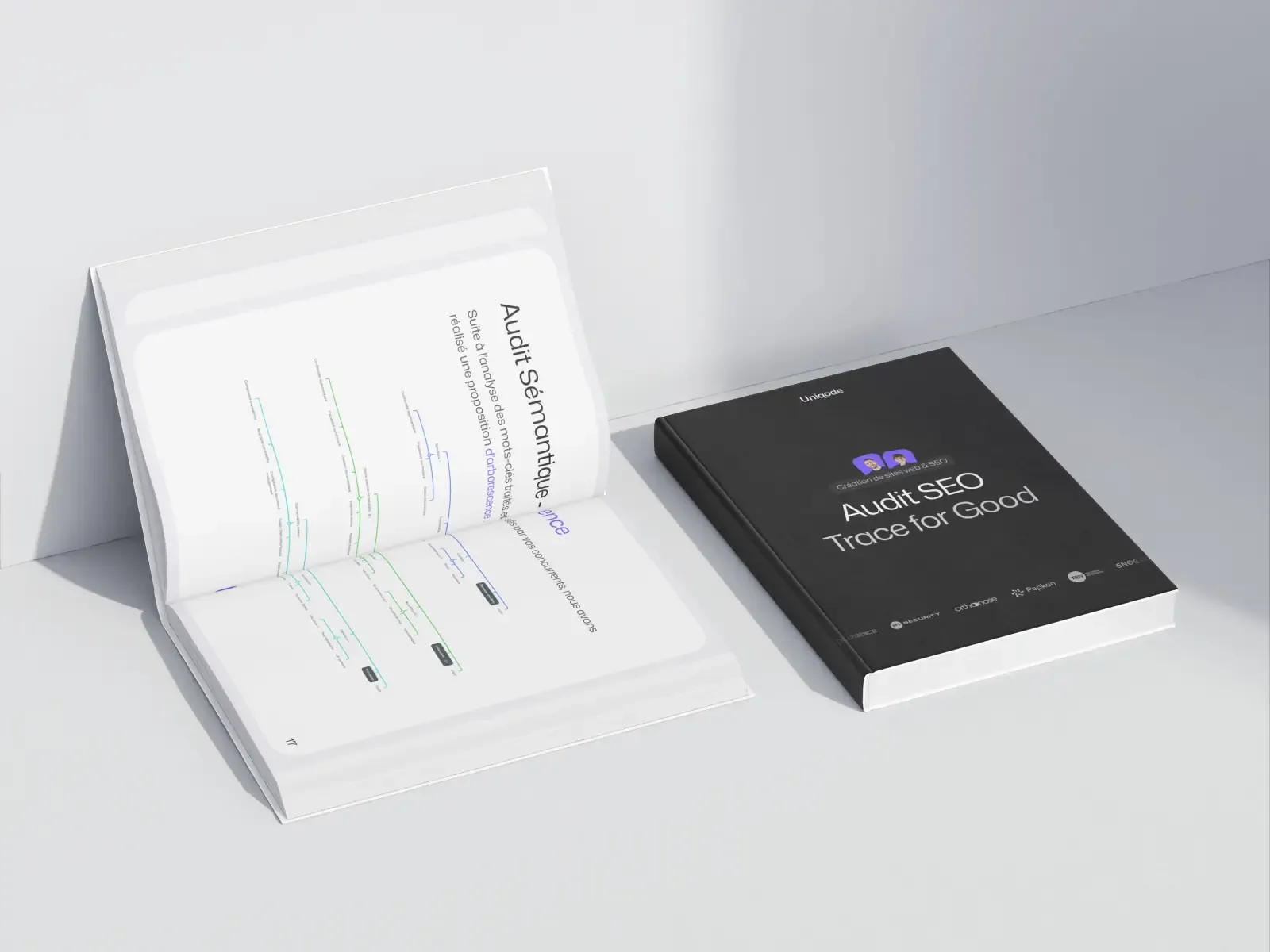 livre audit SEO trace for good